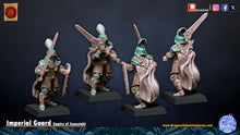 Load image into Gallery viewer, Imperial Guard