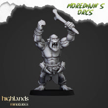 Load image into Gallery viewer, Cave Orc