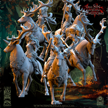 Charger l'image dans la galerie, Pack Warhamateur Elfes des Bois