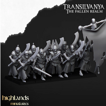 Load image into Gallery viewer, Pack Warhamateur Vampires