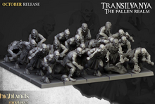 Load image into Gallery viewer, Pack Warhamateur Vampires