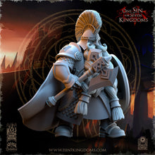 Load image into Gallery viewer, Guards of the Beard Kingdom