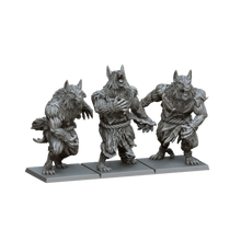 Load image into Gallery viewer, Northern Wolves Army Box