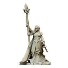 Charger l'image dans la galerie, Général de Campagne Nationale 2025