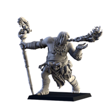 Charger l'image dans la galerie, Général de Campagne Nationale 2025