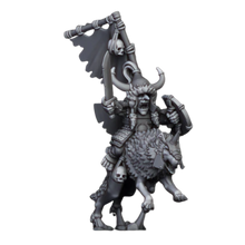 Charger l'image dans la galerie, Général de Campagne Nationale 2025