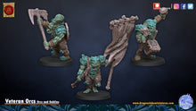 Load image into Gallery viewer, Veteran Orcs
