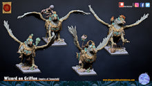 Charger l'image dans la galerie, Sorcier sur Griffon
