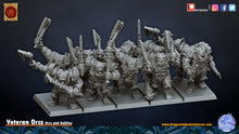 Load image into Gallery viewer, Veteran Orcs