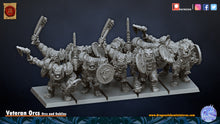 Load image into Gallery viewer, Veteran Orcs
