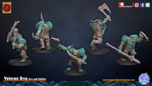 Load image into Gallery viewer, Veteran Orcs