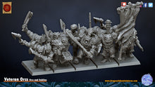 Load image into Gallery viewer, Veteran Orcs