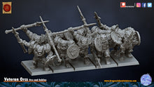 Load image into Gallery viewer, Veteran Orcs
