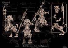 Charger l'image dans la galerie, Centaures