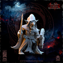 Charger l'image dans la galerie, Guerriers Gobelins de la nuit