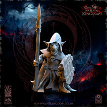 Charger l'image dans la galerie, Guerriers Gobelins de la nuit