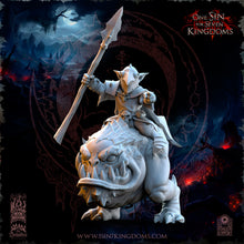 Charger l'image dans la galerie, Cavaliers Gobs de la nuit sur Quigs