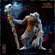 Charger l'image dans la galerie, Boite Rancunes et Pillages