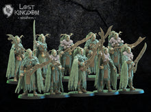 Load image into Gallery viewer, Pre-order Complete Wood Elves Army