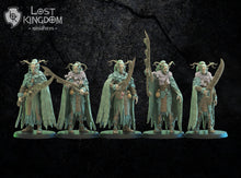 Charger l'image dans la galerie, Guerriers Sylvains