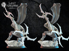 Charger l'image dans la galerie, Assassin Shinobi