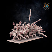 Load image into Gallery viewer, Cold-blooded knights