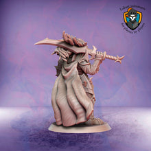 Charger l'image dans la galerie, Dynaste Elfe Noir