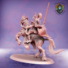 Charger l'image dans la galerie, Dynaste Elfe Noir