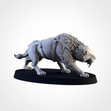 Charger l'image dans la galerie, Dents de Sabre