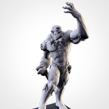 Charger l'image dans la galerie, Gorger