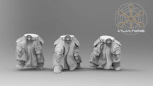 Load image into Gallery viewer, Knights Templar