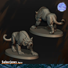 Load image into Gallery viewer, Crocs de Sabres
