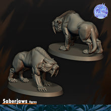 Load image into Gallery viewer, Crocs de Sabres

