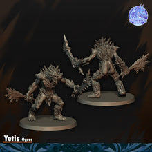 Load image into Gallery viewer, Yetis
