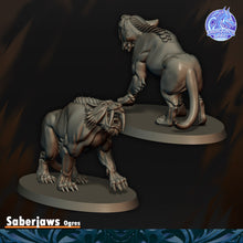 Load image into Gallery viewer, Crocs de Sabres
