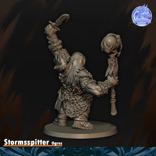 Charger l'image dans la galerie, Crache Tempête
