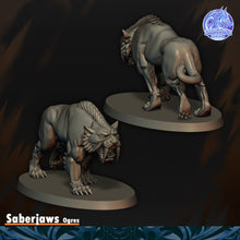 Load image into Gallery viewer, Crocs de Sabres
