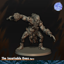 Load image into Gallery viewer, Ogres insatiables

