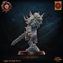 Load image into Gallery viewer, Héro Mooncurse
