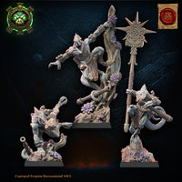 Skinks de Cuetzpal