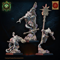 Skinks de Cuetzpal
