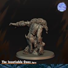 Load image into Gallery viewer, Ogres insatiables
