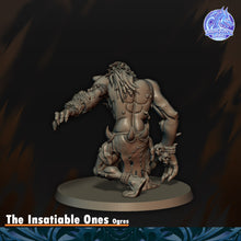 Load image into Gallery viewer, Ogres insatiables

