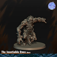 Load image into Gallery viewer, Ogres insatiables
