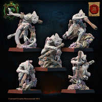 Skinks de Cuetzpal