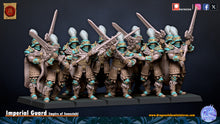 Load image into Gallery viewer, Imperial Guard
