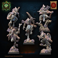 Skinks de Cuetzpal