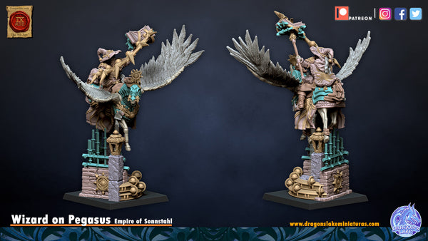 Sorcier sur Pégase
