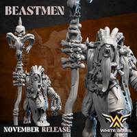Shaman  Homme Bête