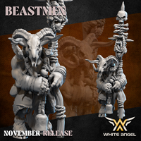 Shaman  Homme Bête